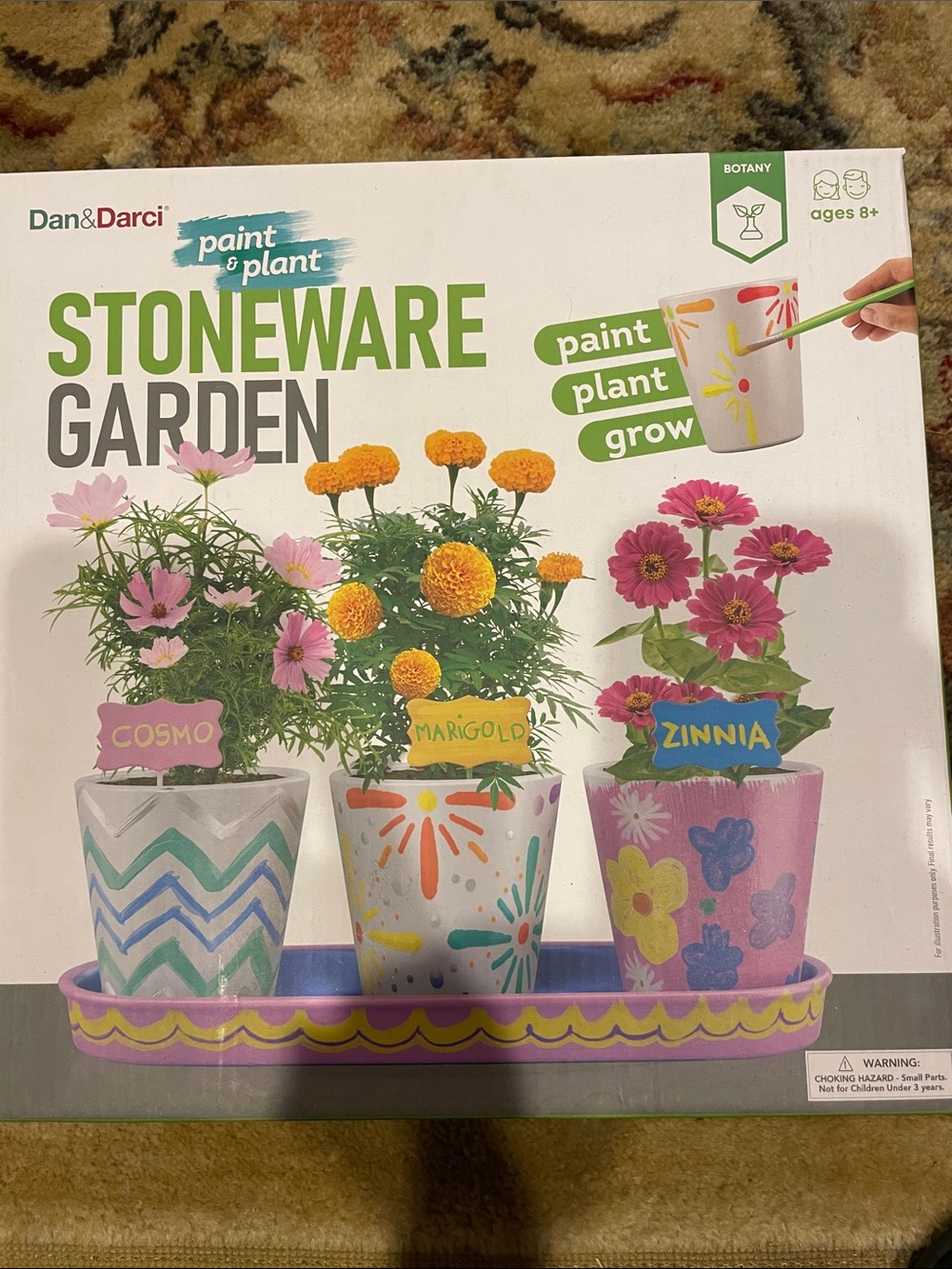 Dan & Darci Stoneware Garden Paint & Plant Kit - Colorful Floral Pots